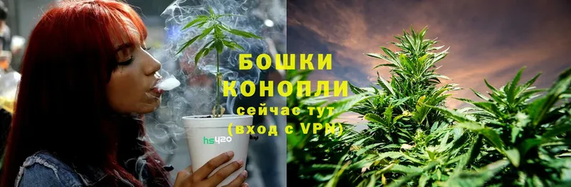 МАРИХУАНА SATIVA & INDICA  купить наркоту  Колпашево 